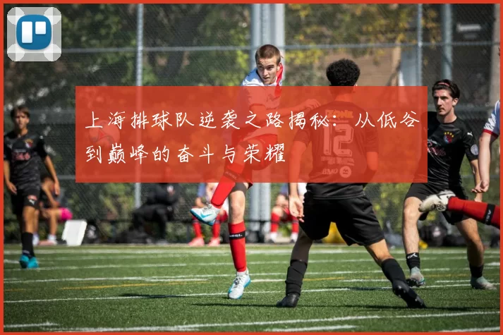 上海排球队逆袭之路揭秘：从低谷到巅峰的奋斗与荣耀