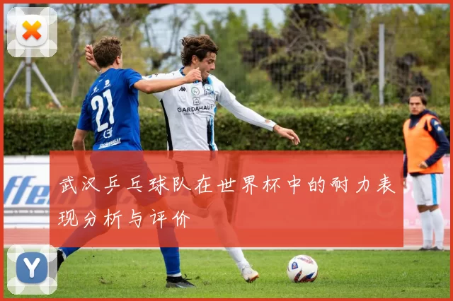 武汉乒乓球队在世界杯中的耐力表现分析与评价