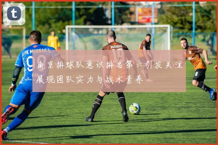 南京排球队意识排名第六引发关注展现团队实力与战术素养